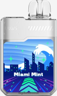 miami piparmünt